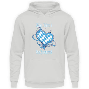 Basic Kapuzenpulli's